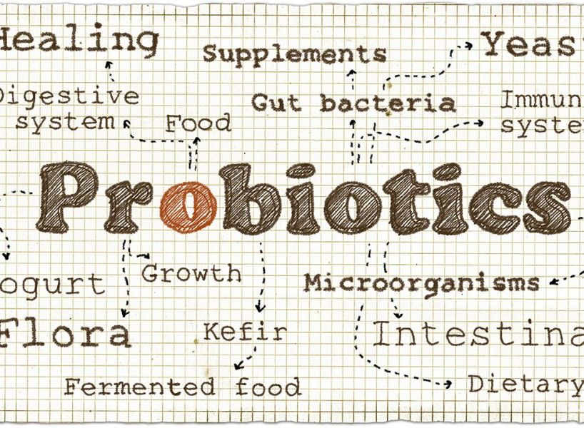 Cosa sono i probiotici