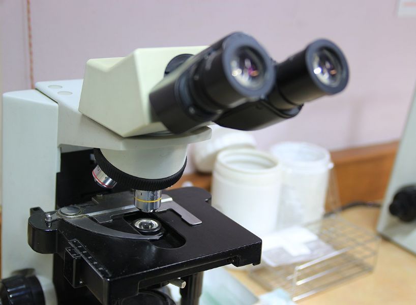 I granuli al microscopio